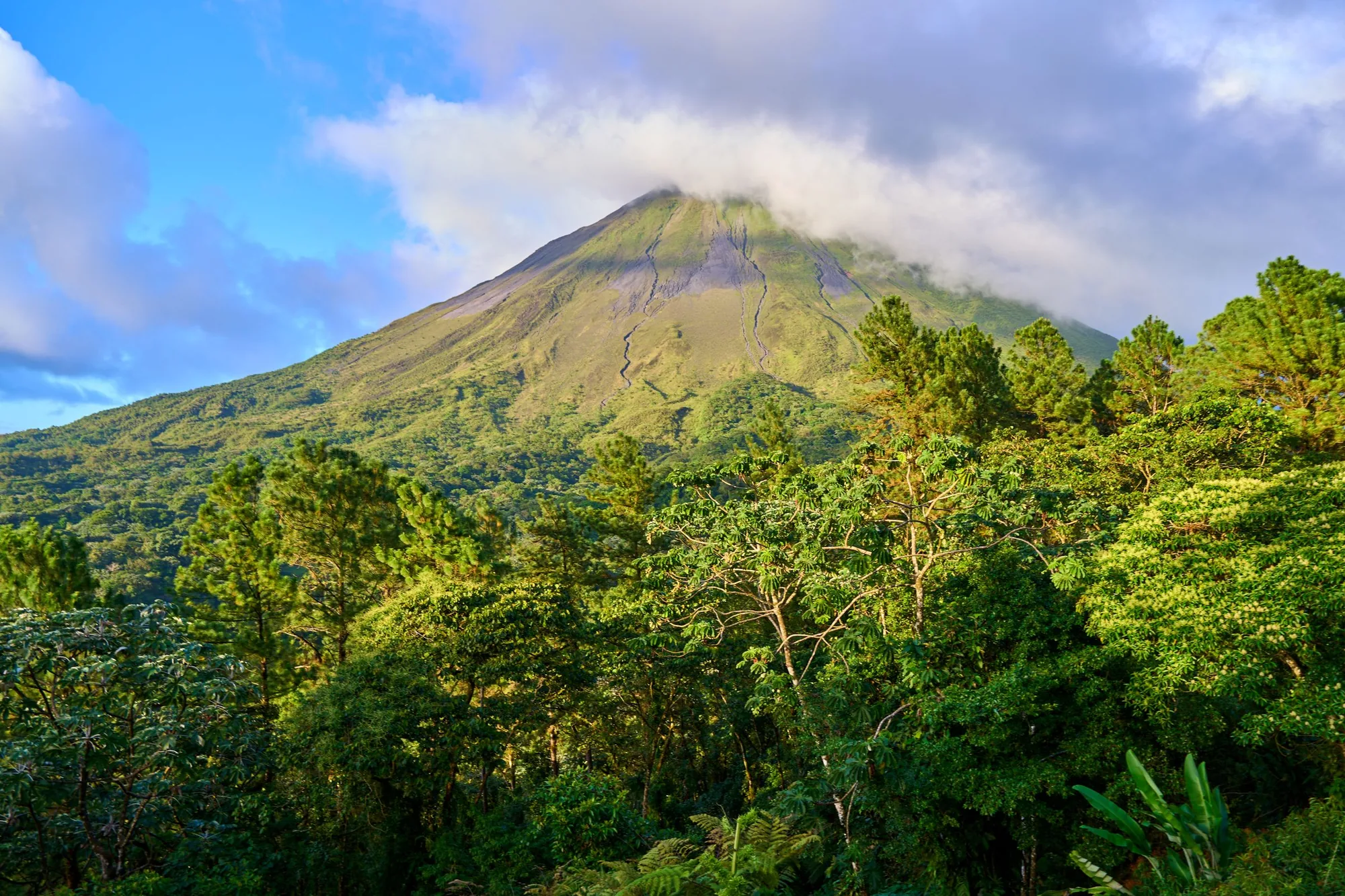 The Arenal cone rising over rainforest