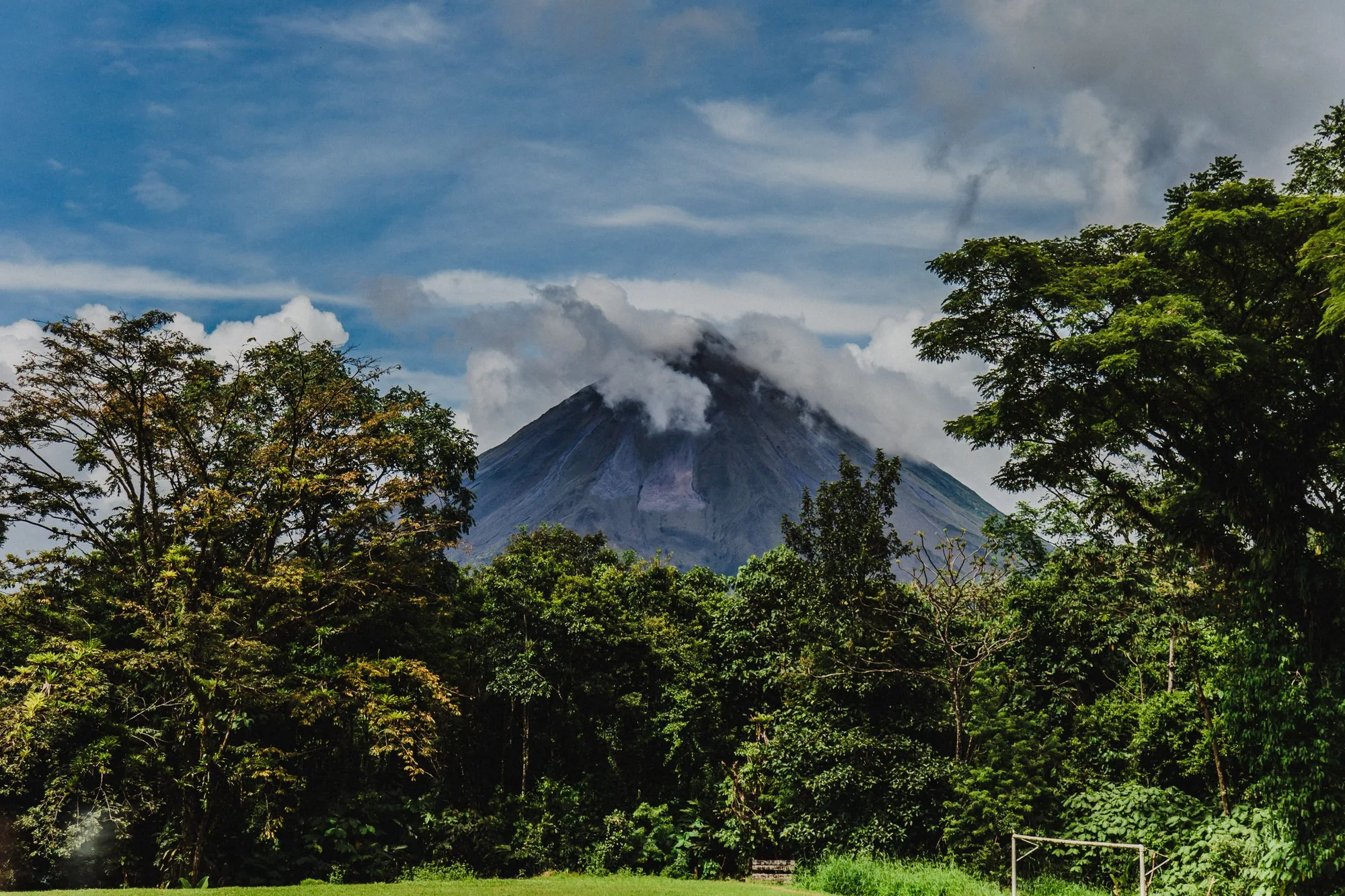 The volcano seen over the treetops