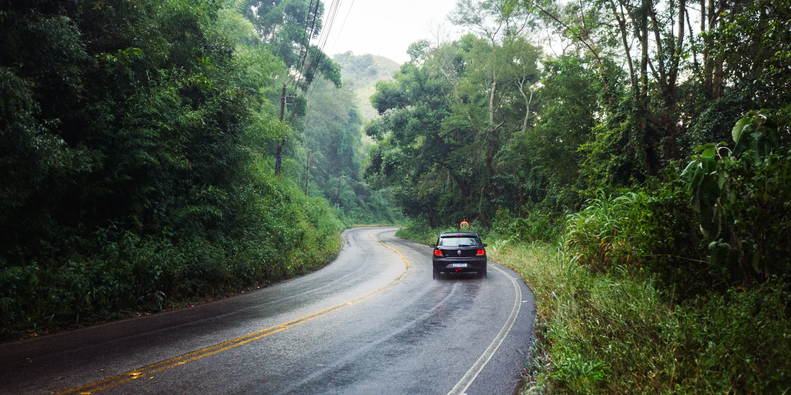 A car on a wet paved road winding through dense green forest