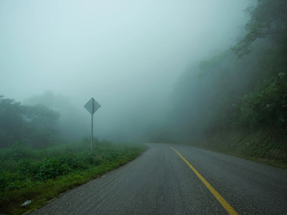 A paved mountain road disappearing into thick cloud, with green forest on both sides