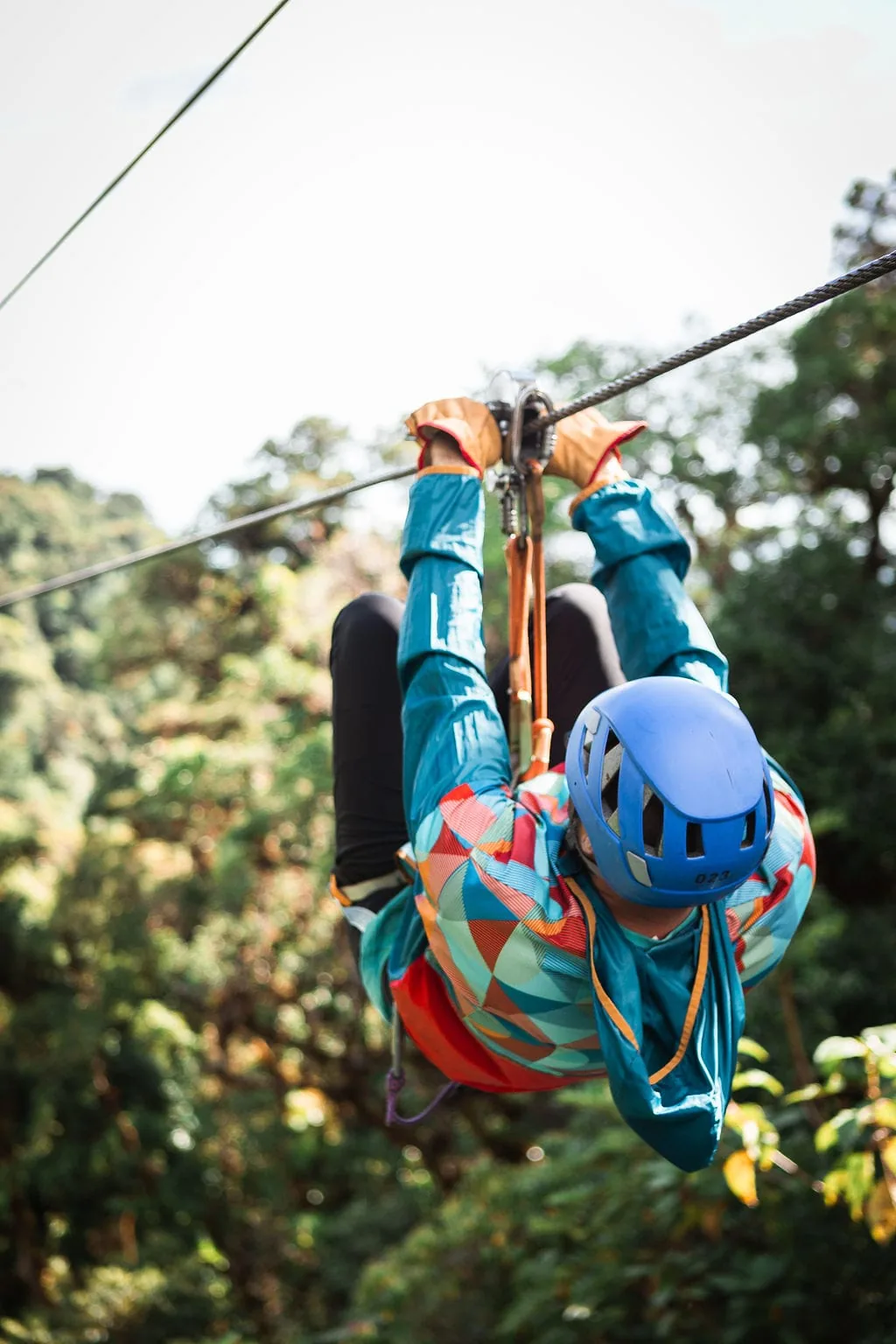 Upside down over the cloud forest