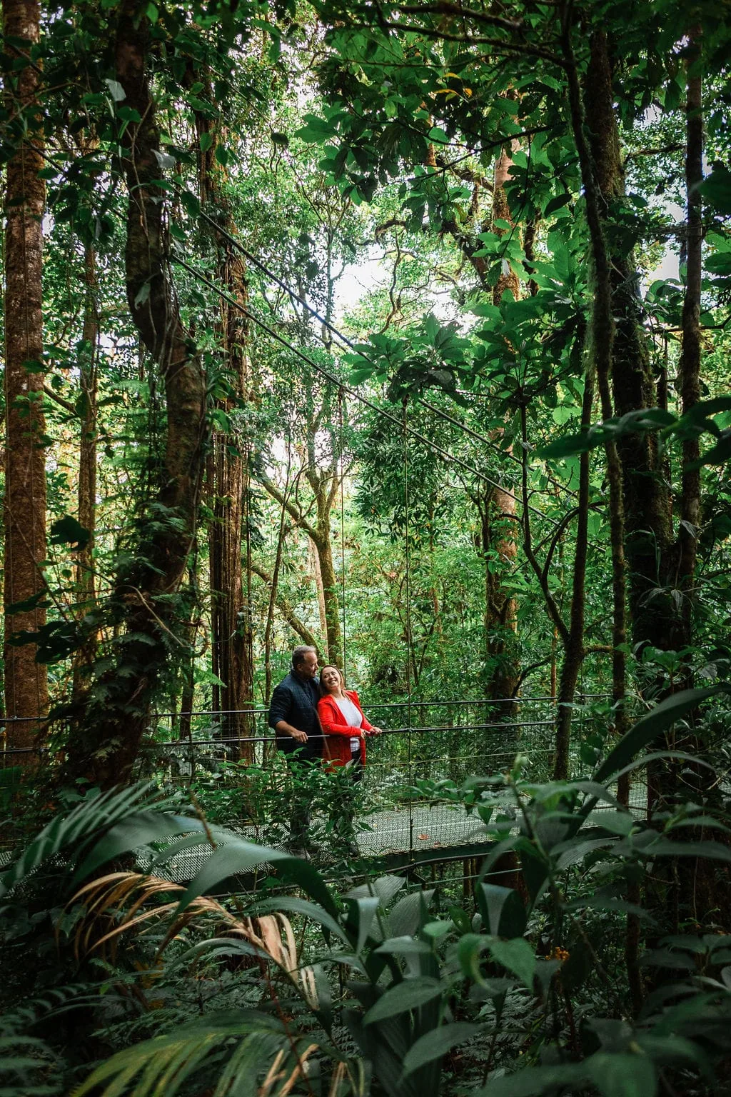 Cloud forest, from the inside