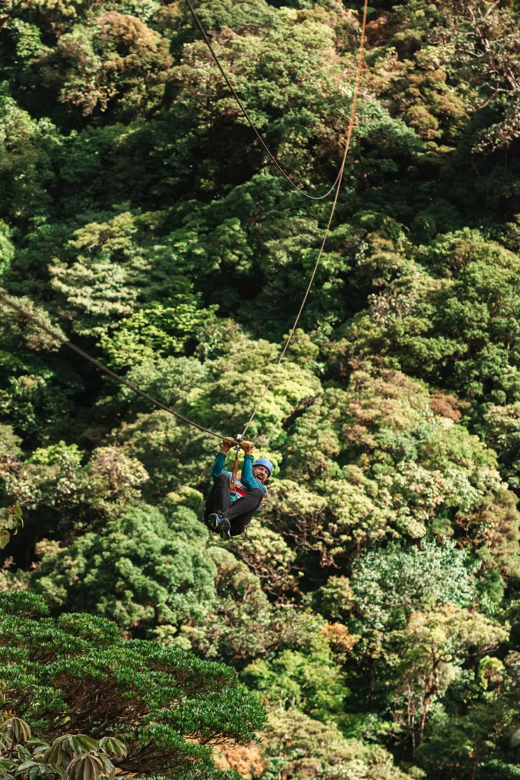 A long way above the treetops