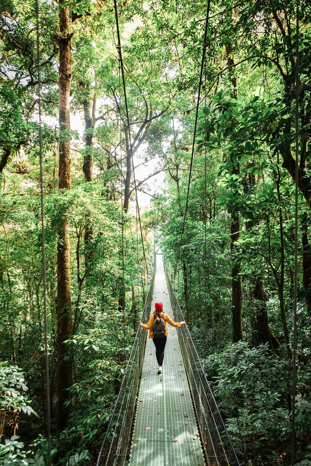 The hanging bridge on the circuit